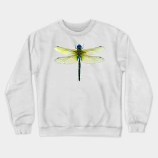 Dragonfly Crewneck Sweatshirt